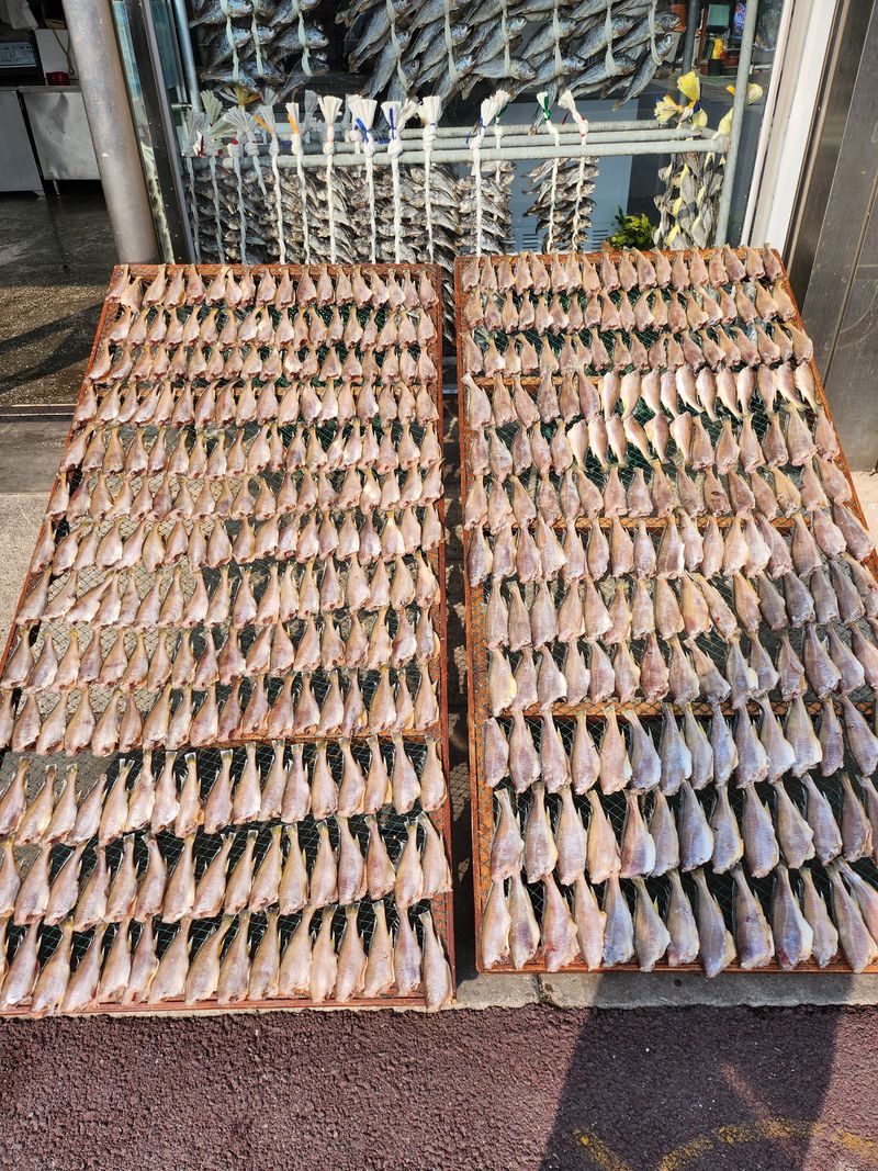 매일굴비센타 님의 장터 판매 상품 [깔끔 손질조기 한팩 500그램 ] 첨부 사진