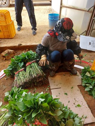 농촌의지킴님의 작성글 사진