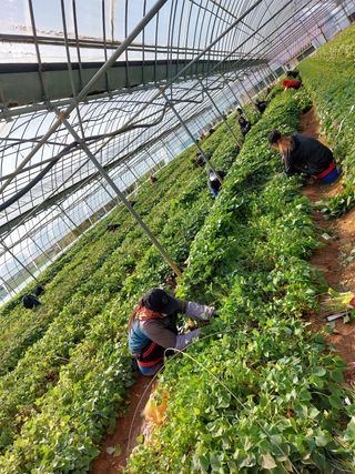 농촌의지킴님의 작성글 사진