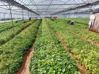 농촌의지킴님의 작성글 사진