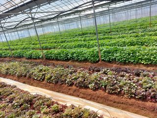 농촌의지킴님의 작성글 사진