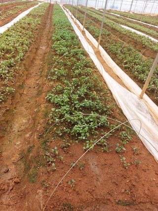 농촌의지킴님의 작성글 사진