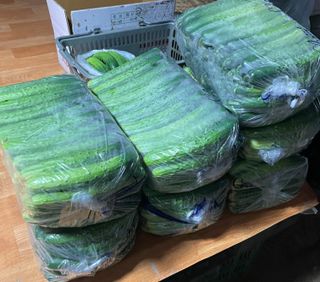 이승하님의 오이 · 자유게시판 작성글 사진