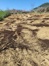 팜모닝 자유주제·자유게시판 게시글 이미지