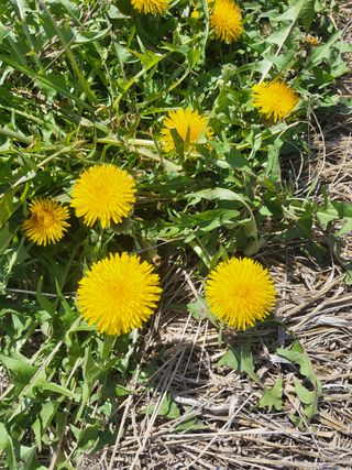아준님의 자유주제 · 자유게시판 작성글 사진