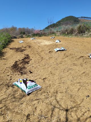 아준님의 자유주제 · 자유게시판 작성글 사진