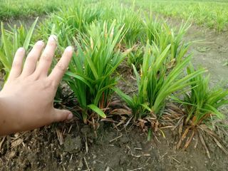 이은호님의 작성글 사진