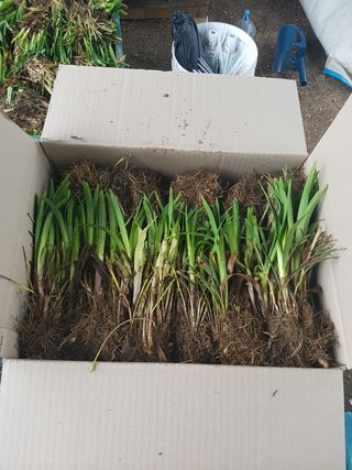 이은호님의 작성글 사진