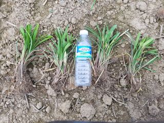 이은호님의 작성글 사진