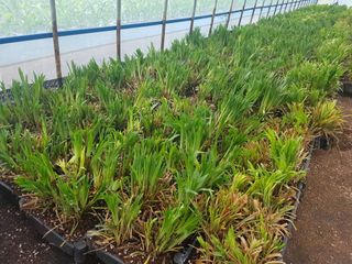 이은호님의 작성글 사진