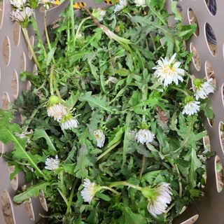 이※경님의 자유주제 · 자유게시판 작성글 사진