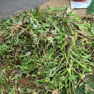 이※경님의 자유주제 · 자유게시판 작성글 사진