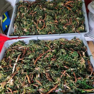 이※경님의 자유주제 · 자유게시판 작성글 사진