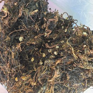 이※경님의 자유주제 · 자유게시판 작성글 사진