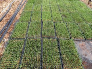 귤7449님의 작성글 사진