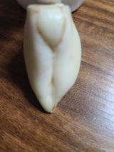 팜모닝 자유주제·자유게시판 게시글 이미지