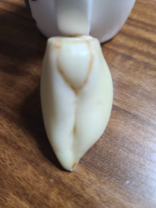 김동환 님의 자유주제 · 자유게시판 작성글 사진