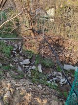 팜모닝 복숭아·자유게시판 게시글 이미지