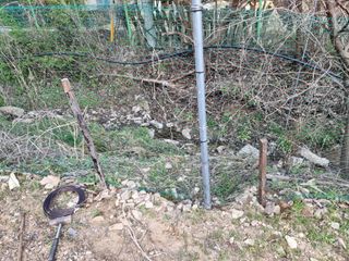 고봉농원 김경수님의 복숭아 · 자유게시판 작성글 사진