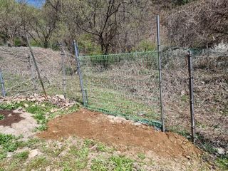 고봉농원 김경수님의 복숭아 · 자유게시판 작성글 사진