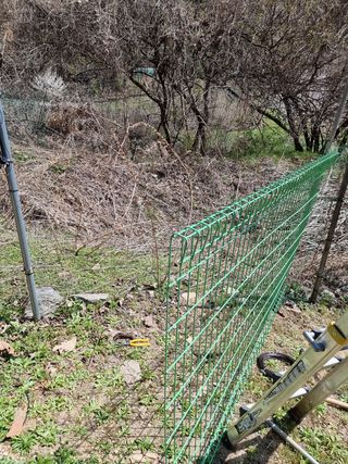 고봉농원 김경수님의 복숭아 · 자유게시판 작성글 사진