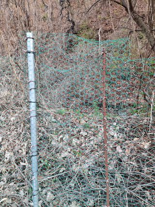 고봉농원 김경수님의 복숭아 · 자유게시판 작성글 사진