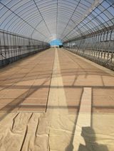 팜모닝 벼·자유게시판 게시글 이미지