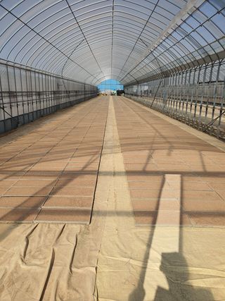 박철민님의 벼 · 자유게시판 작성글 사진