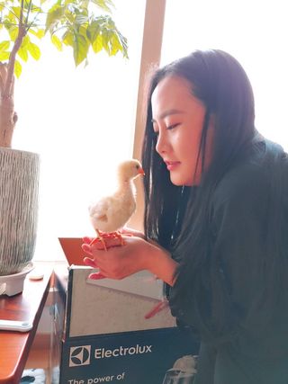 송남호님의 자유주제 · 자유게시판 작성글 사진