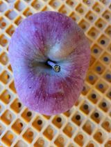 팜모닝 자유주제·자유게시판 게시글 이미지