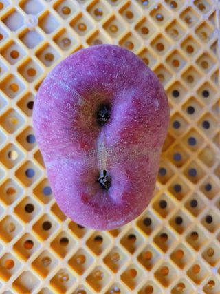 이선일님의 자유주제 · 자유게시판 작성글 사진