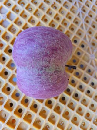 이선일님의 자유주제 · 자유게시판 작성글 사진