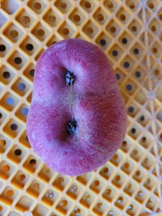 이선일님의 자유주제 · 자유게시판 작성글 사진