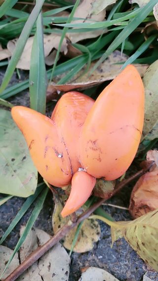 코지뱅이김영선님의 자유주제 · 자유게시판 작성글 사진