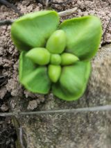 팜모닝 자유주제·자유게시판 게시글 이미지