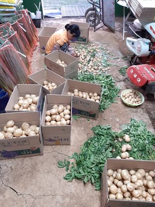 조위래님의 자유주제 · 자유게시판 작성글 사진