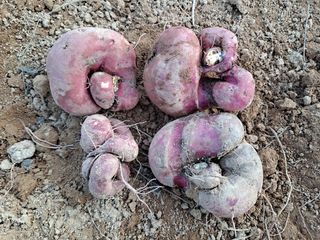 김연홍님의 자유주제 · 자유게시판 작성글 사진