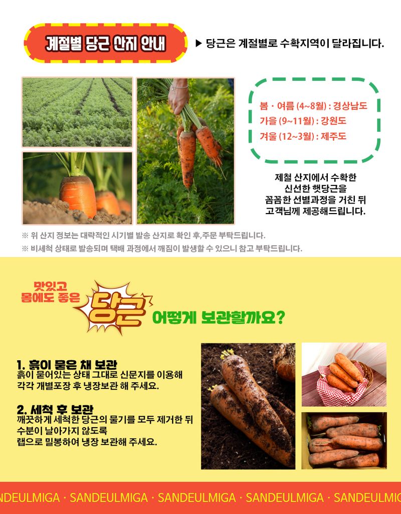 프룻하늬님의 장터 판매 상품 [[할인중] 당근 중사이즈 3kg 5kg 10kg] 첨부 사진