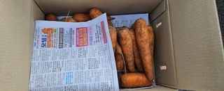 프룻하늬님의 작성글 사진