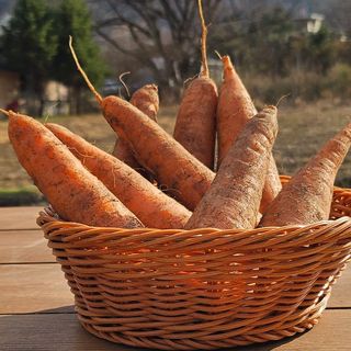 프룻하늬님의 작성글 사진