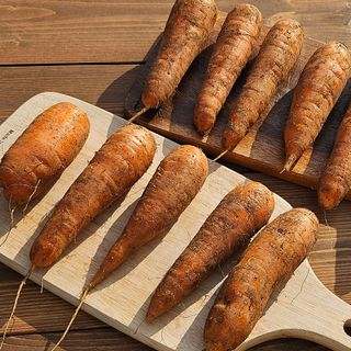 프룻하늬님의 작성글 사진