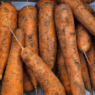 프룻하늬님의 작성글 사진