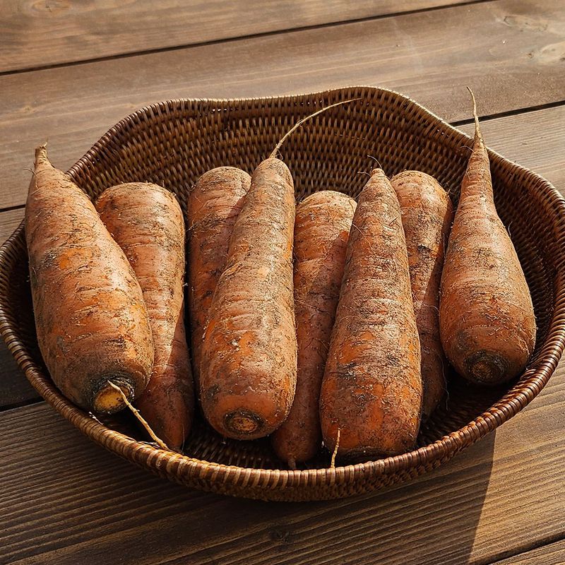 프룻하늬님의 장터 판매 상품 [[할인중] 당근 중사이즈 3kg 5kg 10kg] 첨부 사진