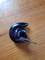 팜모닝 자유주제·자유게시판 게시글 이미지