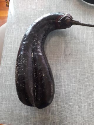 배수빈님의 자유주제 · 자유게시판 작성글 사진