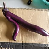 팜모닝 자유주제·자유게시판 게시글 이미지