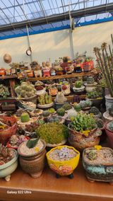 팜모닝 기타작물·자유게시판 게시글 이미지