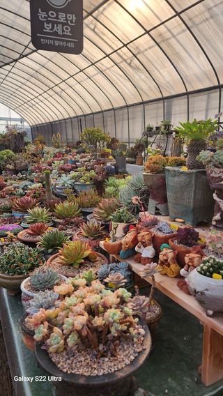 포도10428님의 기타작물 · 자유게시판 작성글 사진