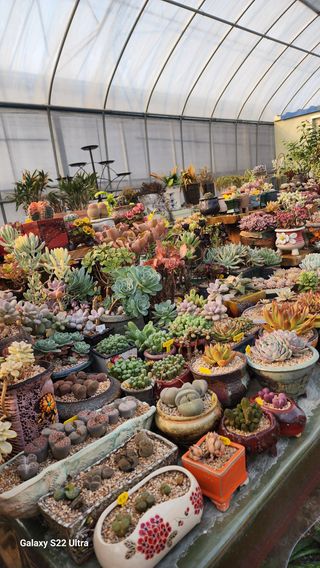 포도10428님의 기타작물 · 자유게시판 작성글 사진