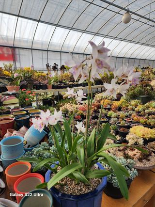 포도10428님의 기타작물 · 자유게시판 작성글 사진